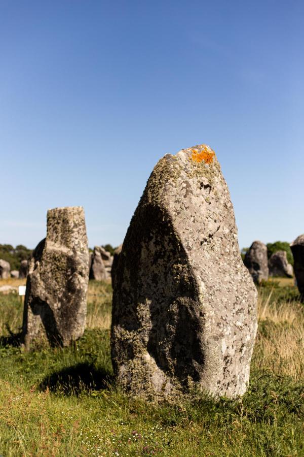 La Metairie Saint-Michel De Quinipily - Les Gites De Kerouzec - Nature Et Detente Baud Exterior foto